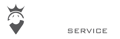 Go Transfer Service